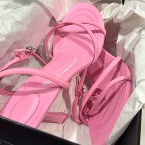 Alexander wang dahila 85 sandal brand new full set